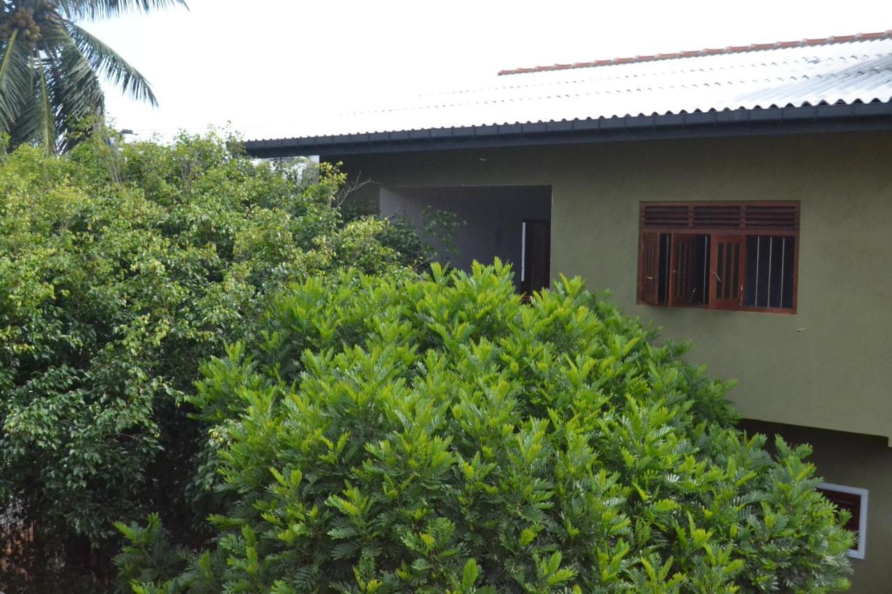 The Citadel Guest House Hikkaduwa Ngoại thất bức ảnh